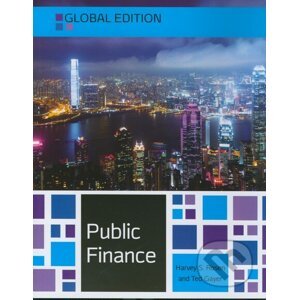 Public Finance - Harvey S. Rosen, Ted Gayer