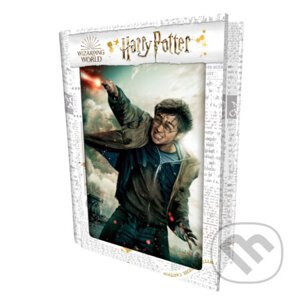 3D PUZZLE Harry Potter-Harry Potter - Trigo