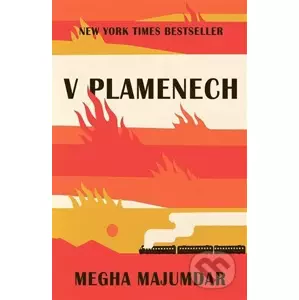 V plamenech - Megha Majumdar