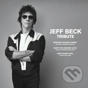 Jeff Beck: Tribute (Black Friday 2023) LP - Jeff Beck