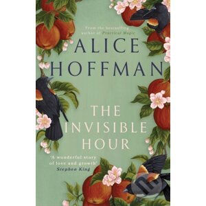 E-kniha The Invisible Hour - Alice Hoffman