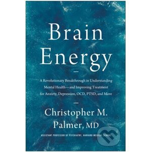Brain Energy - Christopher M. Palmer