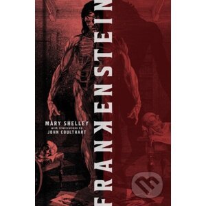 Frankenstein - Mary Shelley, John Coulthart (Ilustrátor)