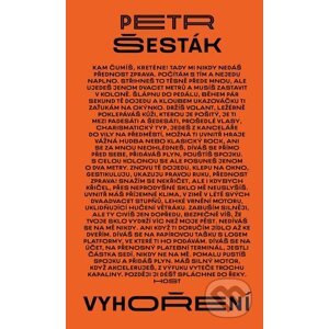 E-kniha Vyhoření - Petr Šesták