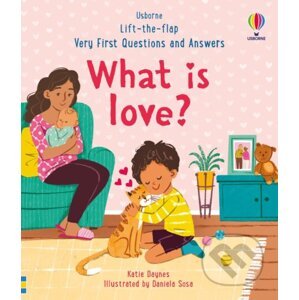 What is love? - Katie Daynes, Daniela Sosa (ilustrátor)