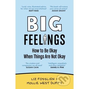 Big Feelings - Liz Fosslien, Mollie West Duffy