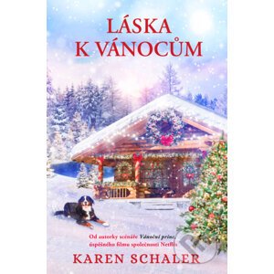 E-kniha Láska k Vánocům - Karen Schaler