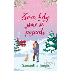 E-kniha Zima, kdy jsme se poznali - Samantha Tonge