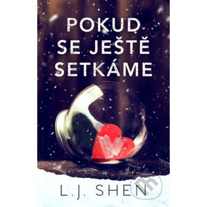E-kniha Pokud se ještě setkáme - L.J. Shen
