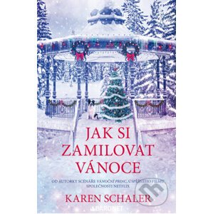 E-kniha Jak si zamilovat Vánoce - Karen Schaler