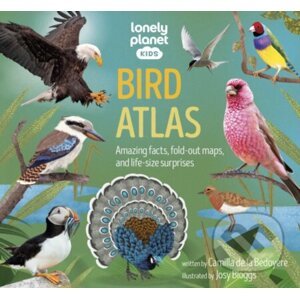 Bird Atlas - Camilla de la Bedoyere, Josy Bloggs (ilustrátor)