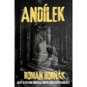 E-kniha Andílek - Roman Horňák