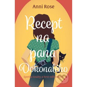 E-kniha Recept na pana Dokonalého - Anni Rose