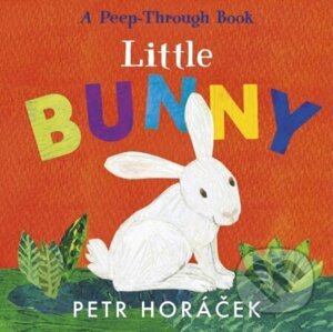 Little Bunny - Petr Horáček