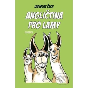 E-kniha Angličtina pro lamy - Ladislav Čech