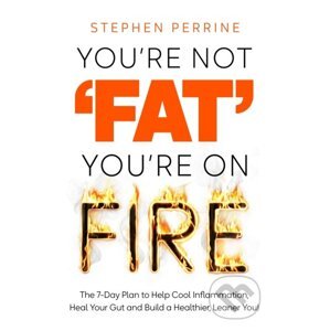 You're Not 'Fat', You're On Fire - Stephen Perrine