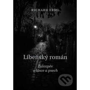 Libeňský román - Richard Erml