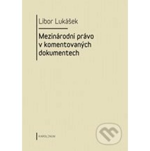 Mezinárodní právo v komentovaných dokumentech - Libor Lukášek