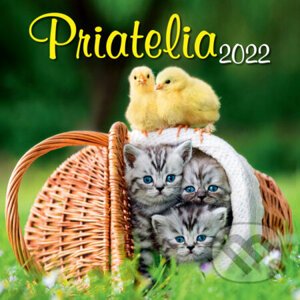 Nástenný kalendár Priatelia 2022 - Spektrum grafik