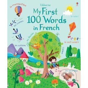 My First 100 Words in French - Felicity Brooks, Sophia Touliatou (ilustrátor)