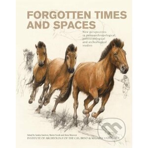 Forgotten Times and Spaces - Sandra Sázelová, Martin Novák, Alena Mizerová