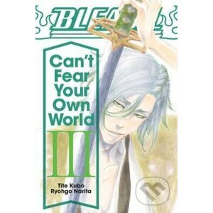 Bleach: Can't Fear Your Own World - Ryohgo Narita