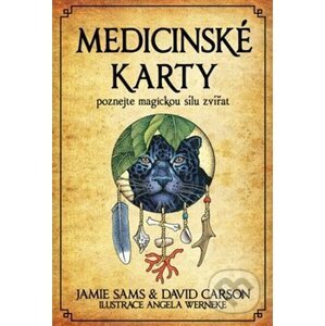 Medicinské karty (Kniha a 52 karet) - David Carson, Jamie Sams