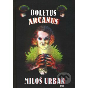 Boletus arcanus - Miloš Urban