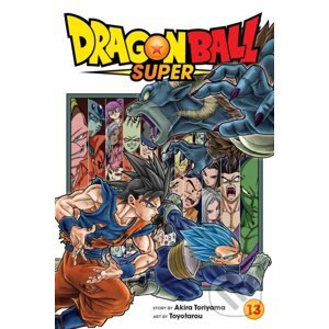 Dragon Ball Super (Volume 13) - Akira Toriyama, Toyotarou (ilustrátor)