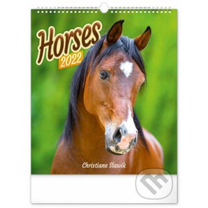 Nástěnný kalendář Horses 2022 - Presco Group