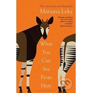 What You Can See From Here - Mariana Leky