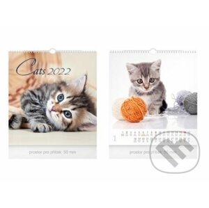 Cats 2022 - nástěnný kalendář malý - MFP