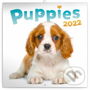 Poznámkový kalendár Puppies 2022 - Presco Group