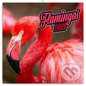 Poznámkový kalendár Flamingos 2022 - Presco Group
