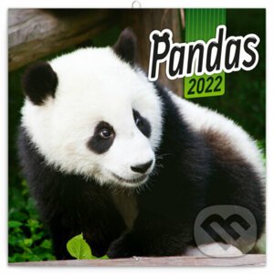 Poznámkový kalendár Pandas 2022 - Presco Group