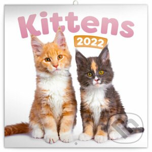 Poznámkový kalendár Kittens 2022 - Presco Group