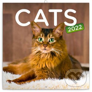 Poznámkový kalendár Cats 2022 - Presco Group