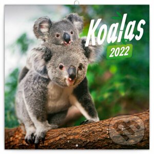 Poznámkový kalendár Koalas 2022 - Presco Group