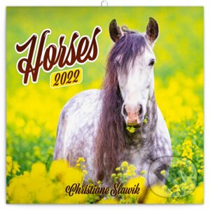 Poznámkový kalendár Horses 2022 - Christiane Slawik