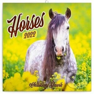 Poznámkový kalendář Horses 2022 - Christiane Slawik