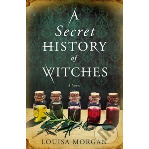 The Secret History of Witches - Louisa Morgan