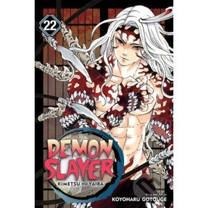 Demon Slayer: Kimetsu no Yaiba (Volume 22) - Koyoharu Gotouge
