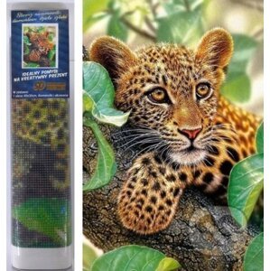 Diamantové malování - Leopard - Norimpex