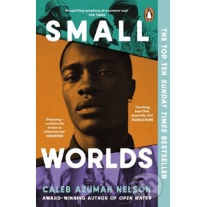 Small Worlds - Caleb Azumah Nelson