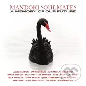 Mandoki Soulmates: A Memory of Our Future LP - Mandoki Soulmates