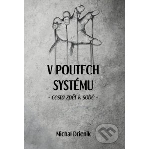 V poutech systému - Michal Drienik