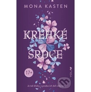 E-kniha Krehké srdce - Mona Kasten