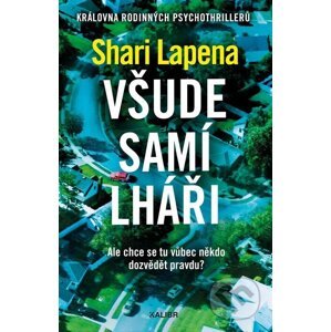 E-kniha Všude samí lháři - Shari Lapena