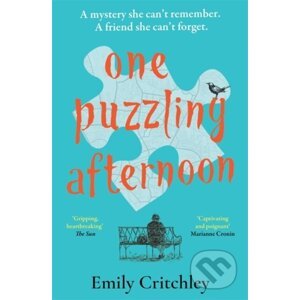 One Puzzling Afternoon - Emily Critchley