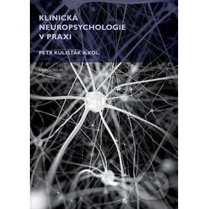 E-kniha Klinická neuropsychologie v praxi - Petr Kulišťák